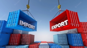 COMMERCIO ALL'INGROSSO IMPORT-EXPORT - CIS HOLDING